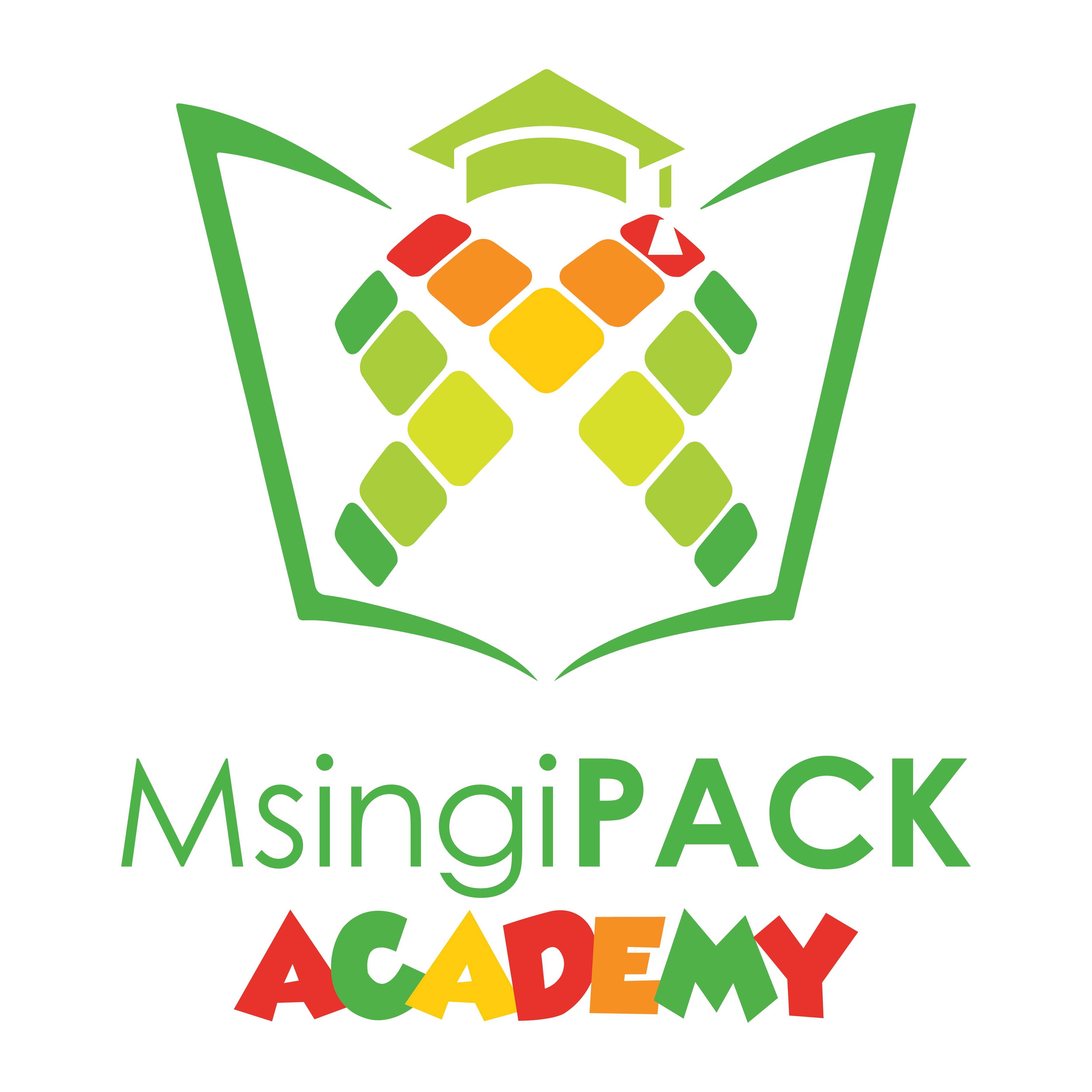 MsingiPACK Academy